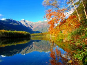 【秋の特別企画 Vol.2】ネイチャーガイドが案内する秋の大正池散策ツアー