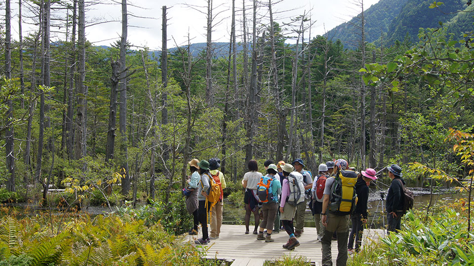 Dakesawa Marsh