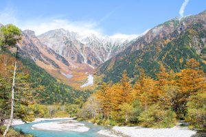 うっすら雪化粧　三段紅葉！