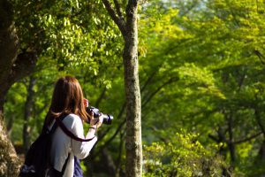 10月23日開催　写真が学べるネイチャーガイドツアー