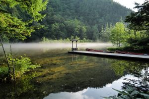 【夏休み特別企画◎第2弾】 ★神秘の水と緑　明神池へ　夏のネイチャーガイドツアー